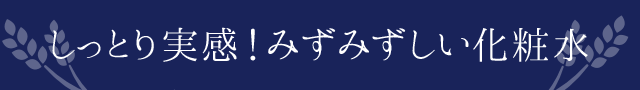 しっとり実感！みずみずしい化粧水