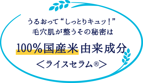 うるおって”しっとりキュッ！” 毛穴肌が整うその秘密は100％国産米由来成分＜ライスセラム＞