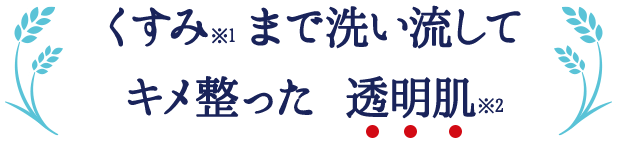 くすみまで洗い流してキメ整った　透明肌