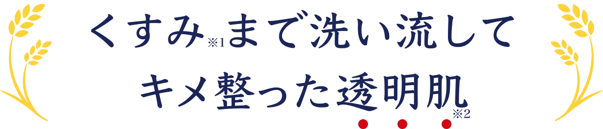 くすみまで洗い流してキメ整った透明肌