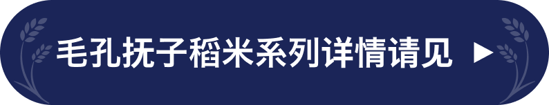 毛孔抚子稻米系列详情请见
