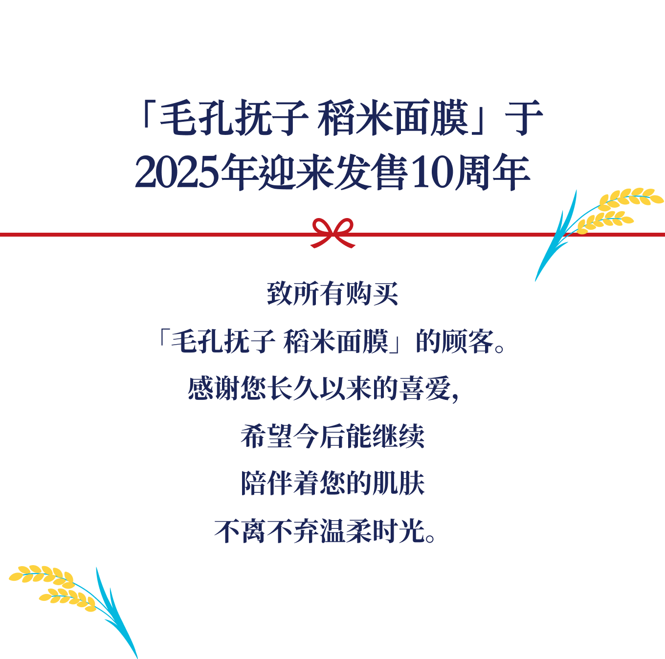 「毛孔抚子 稻米面膜」于2025年迎来发售10周年 致所有购买「毛孔抚子 稻米面膜」的顾客。感谢您长久以来的喜爱，希望今后能继续陪伴着您的肌肤不离不弃温柔时光。