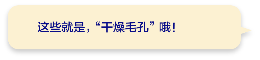 这些就是，“干燥毛孔”哦！