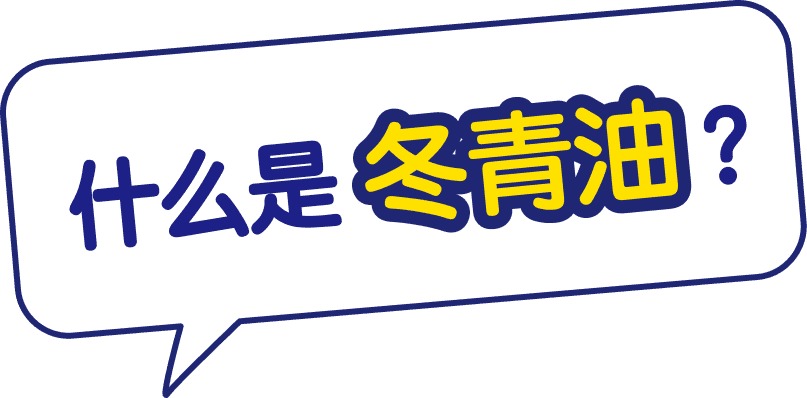 什么是冬青油？