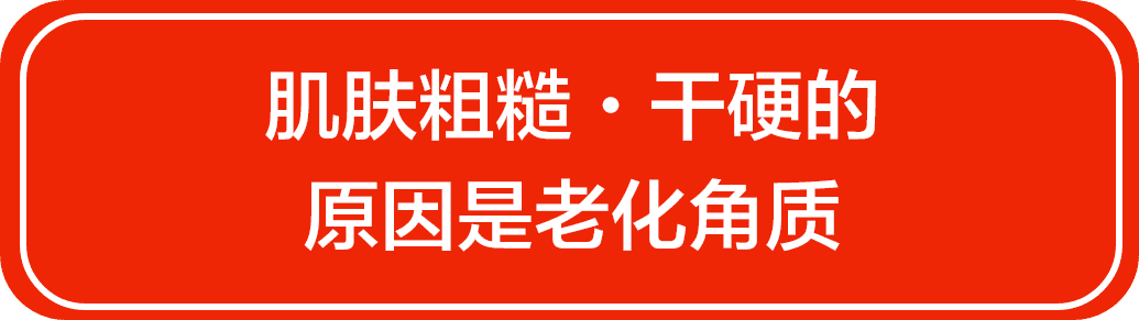 肌肤粗糙・干硬的原因是老化角质