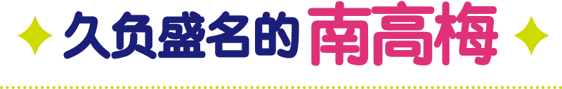 久负盛名的南高梅