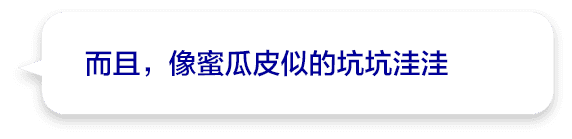 而且，像蜜瓜皮似的坑坑洼洼