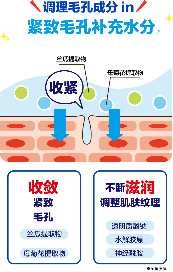 调理毛孔成分in 紧致毛孔补充水分