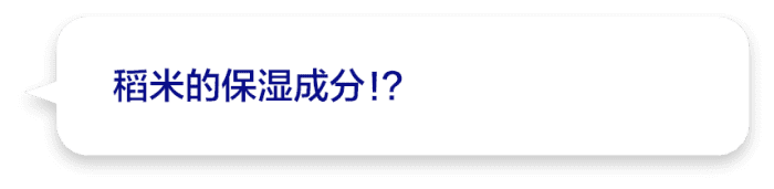 稻米的保湿成分！？