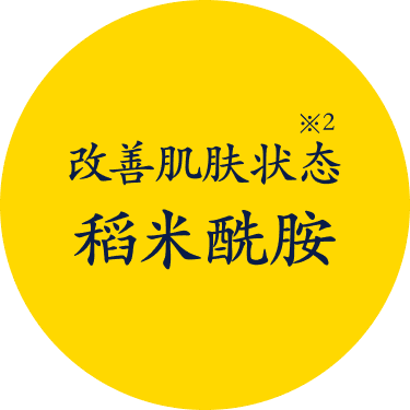 肌の調子を整える米セラミド