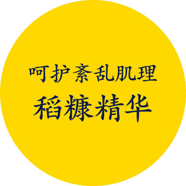 キメを整える米ぬかエキス