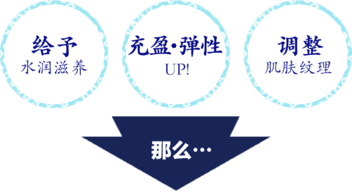 给予水润滋养 充盈・弹性up！ 调整肌肤纹理