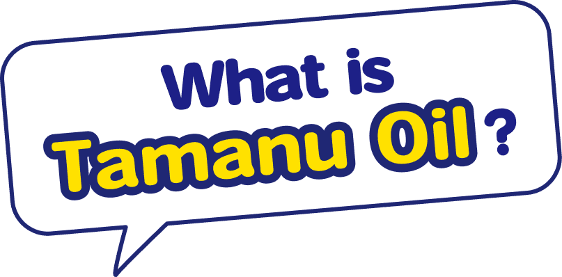 What is Tamanu Oil?