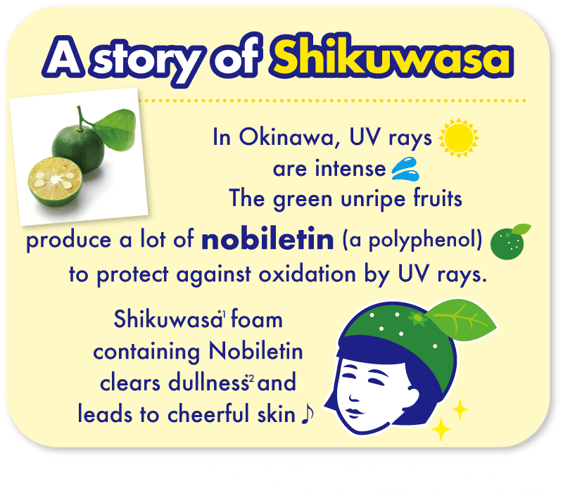 A story of Shikuwasa 