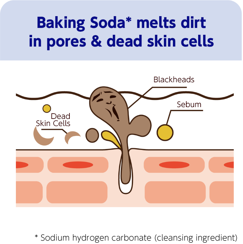 Baking Soda(*) melts dirt in pores & dead skin cells