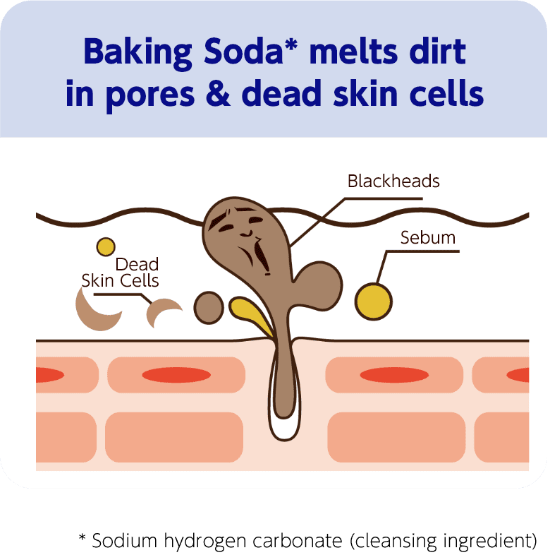 Baking Soda(*) melts dirt in pores & dead skin cells