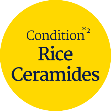 Condition Rice Ceramides