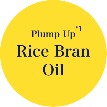 Rice Bran Oil