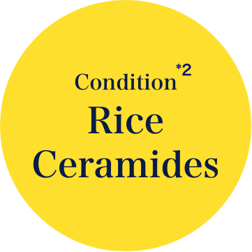 Rice Ceramides