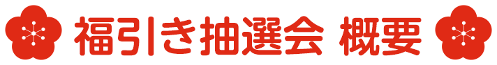 福引き抽選会 概要