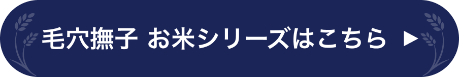 毛穴撫子 お米シリーズはこちら