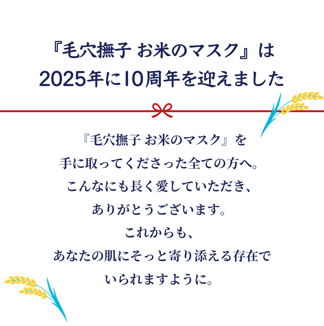 『毛穴撫子 お米のマスク』は2025年に10周年を迎えました。『毛穴撫子 お米のマスク』を手に取ってくださった全ての方へ。こんなにも長く愛していただき、ありがとうございます。これからも、あなたの肌にそっと寄り添える存在でいられますように。
