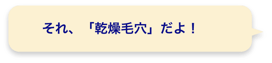 それ、「乾燥毛穴」だよ！