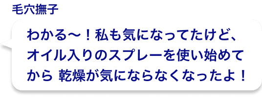 わかる〜！私も気になってたけど、オイル入りのスプレーを使い始めてから乾燥が気にならなくなったよ！