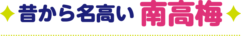 昔から名高い南高梅