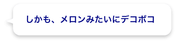 しかも、メロンみたいにデコボコ