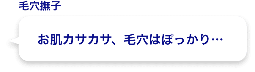 お肌カサカサ、毛穴はぽっかり…