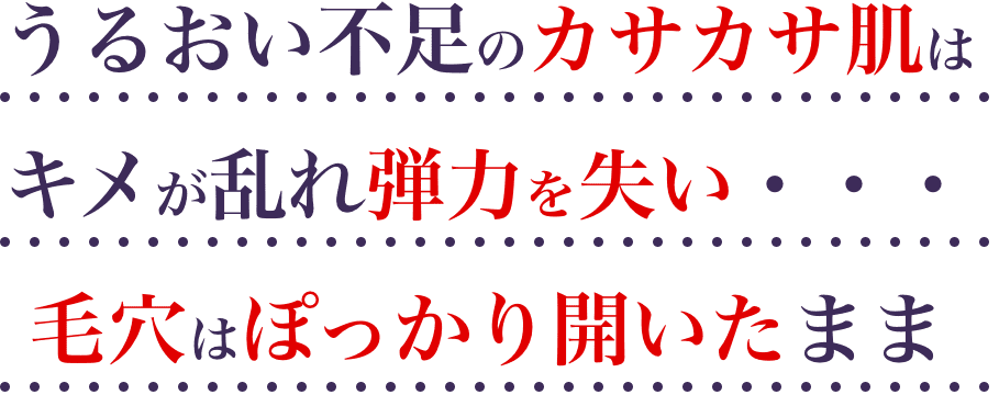 うるおい不足のカサカサ肌はキメが乱れ弾力を失い...毛穴はぽっかり開いたまま