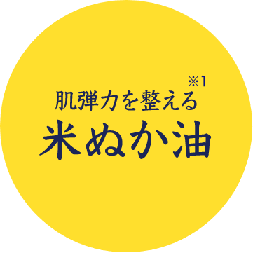 キメを整える米ぬかエキス