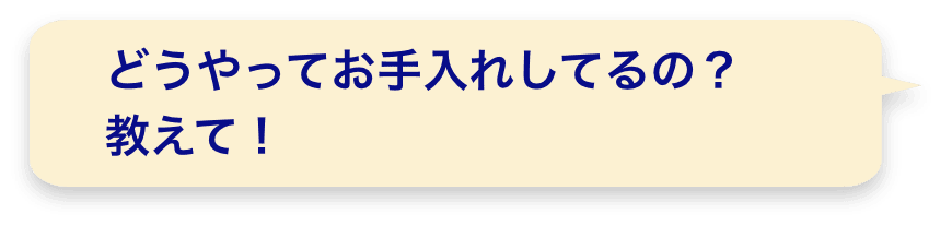 どうやってお手入れしてるの？教えて！