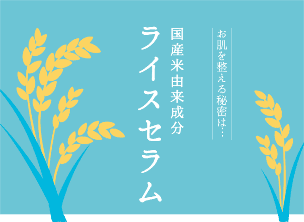 お肌を整える秘密は、国産米由来成分ライスセラム