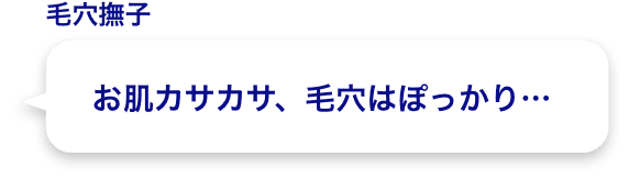 お肌カサカサ、毛穴はぽっかり…