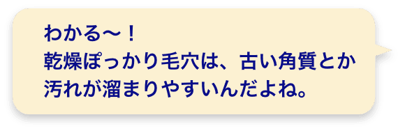 わかる～！乾燥ぽっかり毛穴は、古い角質とか汚れが溜まりやすいんだよね。