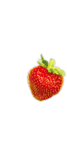 strawberry