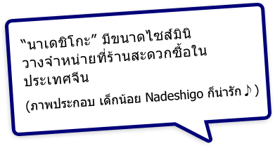 “นาเดชิโกะ” มีขนาดไซส์มินิ วางจำหน่ายที่ร้านสะดวกซื้อในประเทศจีน (ภาพประกอบ เด็กน้อย Nadeshiko ก็น่ารัก♪)