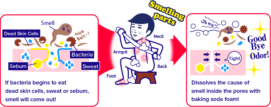 If Bacteria Begins to Eat Dead Skin Cells, Sweat or Sebum, Odor will come off! Dissolves the Cause of Odor Inside the Pores with Baking Soda Foam!