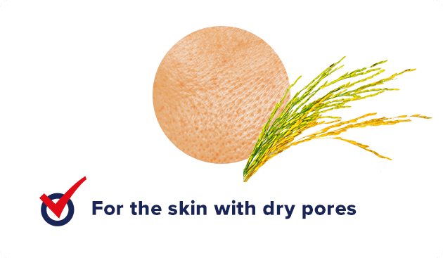 For dry skin with prominent pores