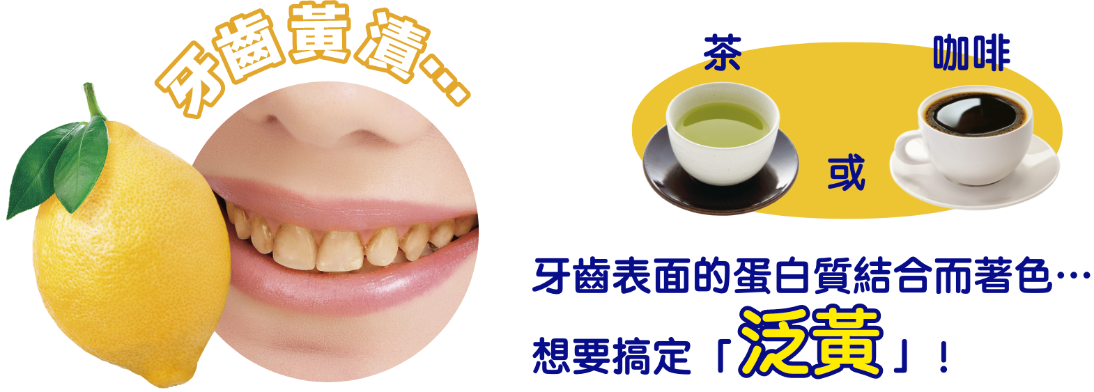 牙齒黃漬… 茶 咖啡 牙齒表面的蛋白質結合而著色…想要搞定「泛黃」!