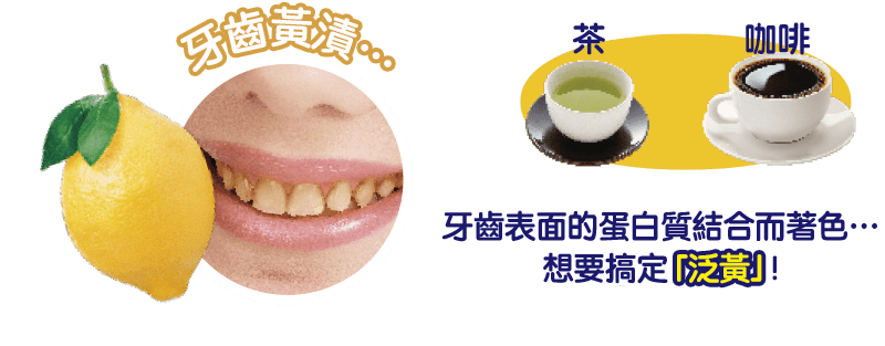 牙齒黃漬… 茶 咖啡 牙齒表面的蛋白質結合而著色…想要搞定「泛黃」!