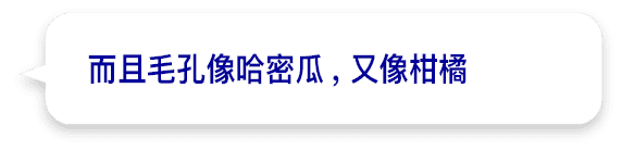 而且毛孔像哈密瓜,又像柑橘