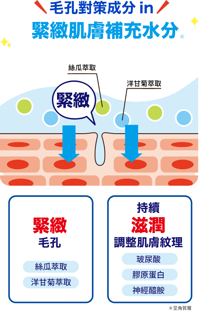 毛孔對策成分in緊緻肌膚補充水分