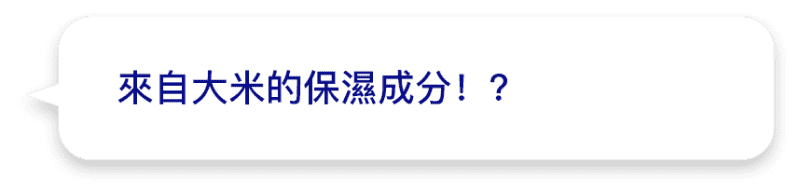 來自大米的保濕成分！？