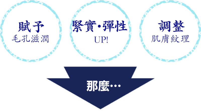 賦予毛孔滋潤 緊實・彈性up 調整肌膚紋理  那麼…