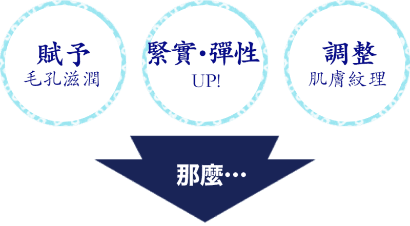 賦予毛孔滋潤 緊實・彈性up 調整肌膚紋理 那麼…