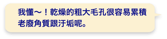 我懂～！乾燥的粗大毛孔很容易累積老廢角質跟汙垢呢。