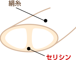 絹糸 セリシン